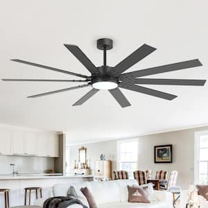 Breezary Archer 65 in. Integrated LED Indoor Black Ceiling Fans
