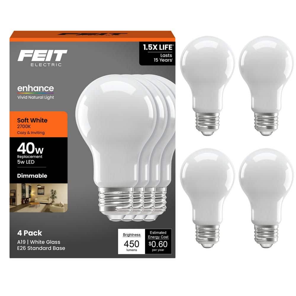 Feit Electric 40-Watt Equivalent A19 Dimmable Filament CEC 90+ CRI
