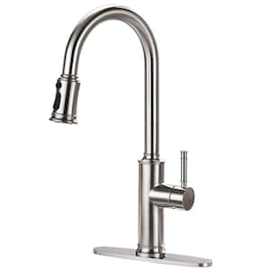 Single Handle Pull Down Sprayer Kitchen Faucet, Pull Out Sprayer in Brushed Nickel