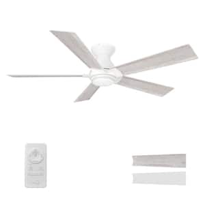 Armoy 52 in. Color Changing Integrated LED Indoor Matte White 10-Speed DC Ceiling Fan with Light Kit/Remote Control