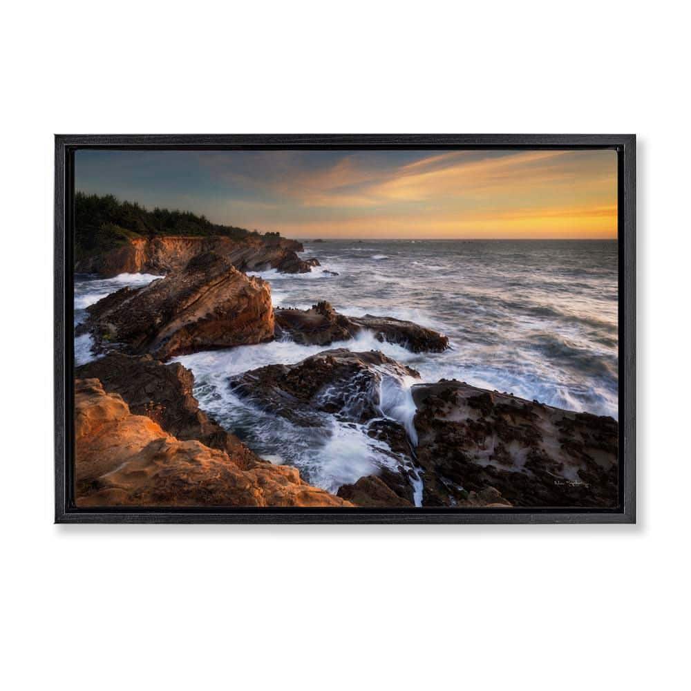 Nautical Shore Acres by Alan Majchrowicz Black Floater Frame Coastal Graphic Art Print 17 in. x 25 in. price history on PriceWatchPro