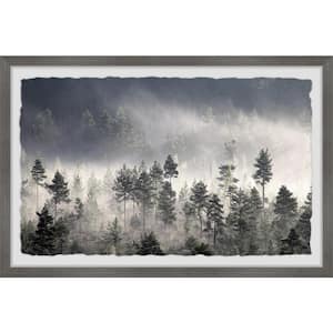 "Lungs of Our Land" by Marmont Hill Framed Nature Art Print 24 in. x 36 in.