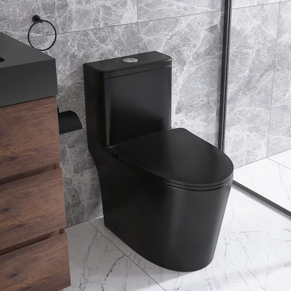 Unbranded 12 in. 1-Piece 1.28/1.6 GPF Dual Flush Elongated Toilet in Matte Black Seat Included