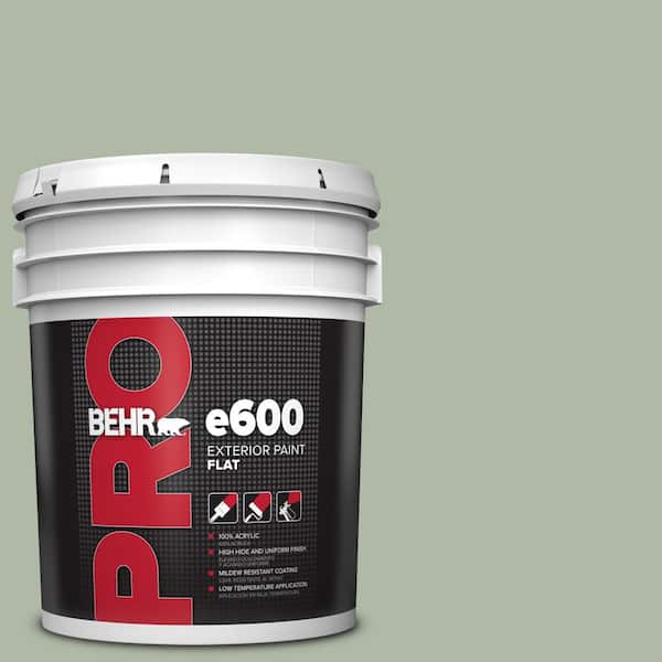 5 gal. #N390-3 Jojoba Flat Exterior Paint