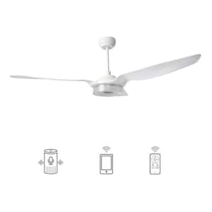 Finley 56 in. Dimmable LED Indoor White Smart Ceiling Fan with Light and Remote, Works with Alexa and Google Home