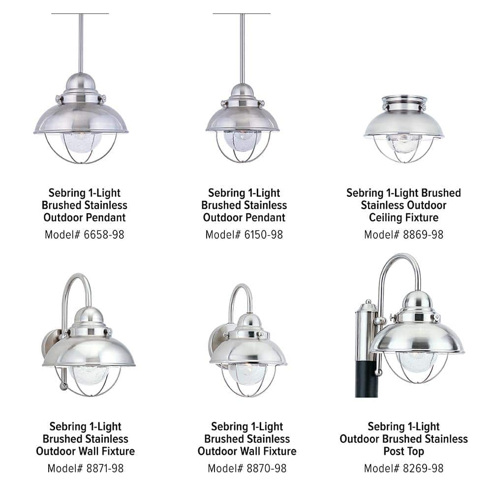 Seabright Industrial Brushed Stainless 1-Light Lantern with Clear Seeded Glass