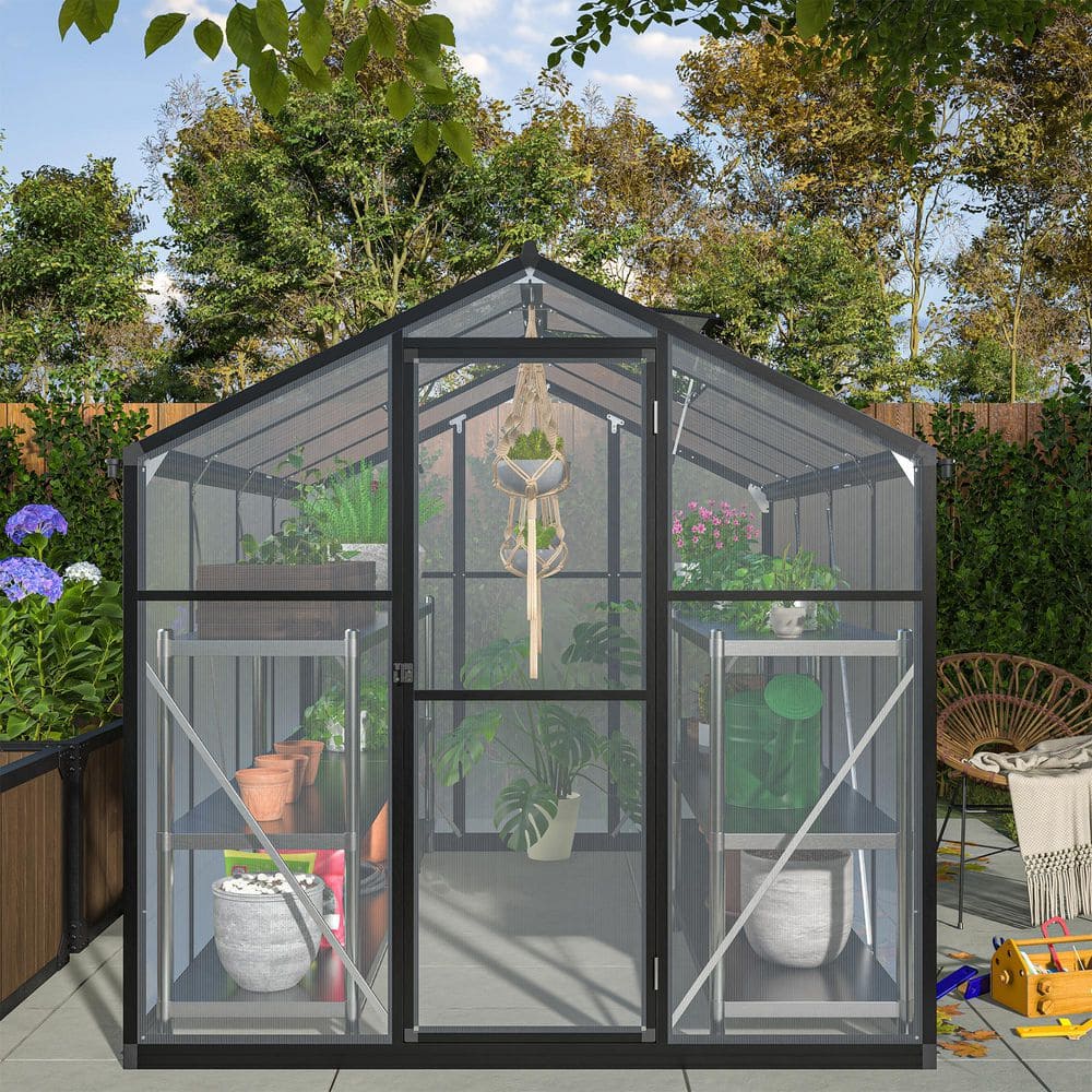 Black 6' x 8' Polycarbonate Aluminum Outdoor Greenhouse