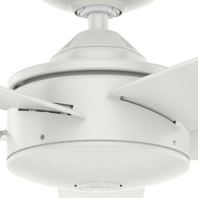 Ceiling Fans Without Lights 