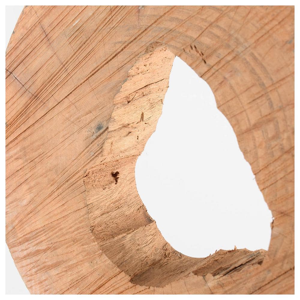 Ironwood Indian Mango Wood Cross Section Decorative Object