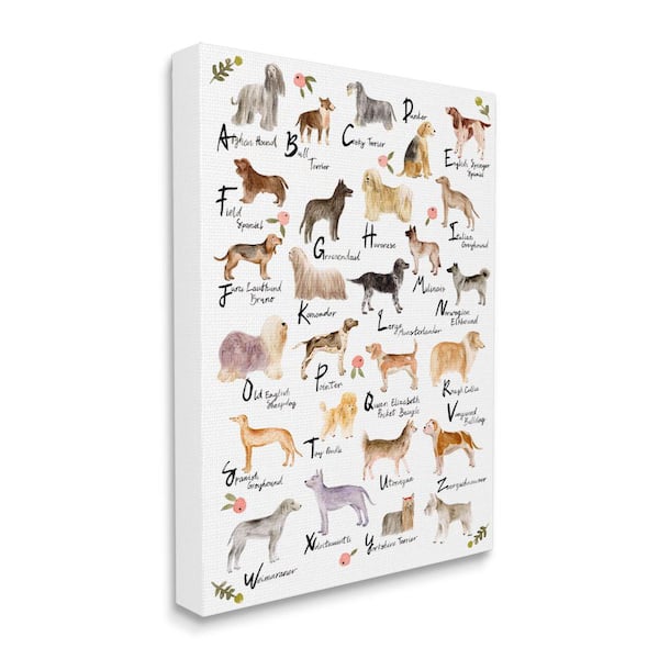 Stupell Industries "Chic Alphabet of Dogs with Floral Detail" by Melissa Wang Unframed Animal Canvas Wall Art Print 30 in. x 40 in.