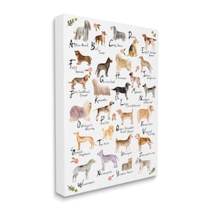 "Chic Alphabet of Dogs with Floral Detail" by Melissa Wang Unframed Animal Canvas Wall Art Print 24 in. x 30 in.