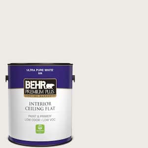 1 gal. #750A-1 Chalk Color Ceiling Flat Interior Paint