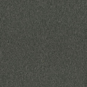Ramble On - Beacon - Black 20 oz. SD Polyester Loop Installed Carpet