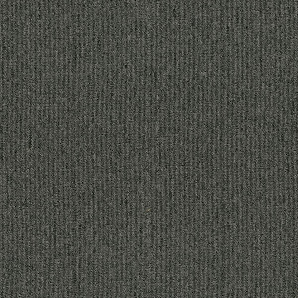 Ramble On - Beacon - Black 20 oz. SD Polyester Loop Installed Carpet
