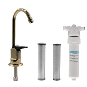 6 in. Touch-Flo Style Cold Water Dispenser Faucet Kit with In-line Filter and 2-Pack Cartridges, Polished Brass