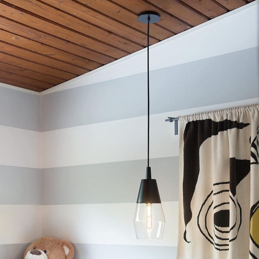 Livie Black + Clear Glass Contemporary Pendant Light price history on PriceWatchPro