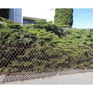 72 in. L x 48 in. H Willow Expandable Trellis Fence Set