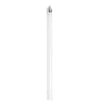 8-Watt 12 in. Linear T5 Fluorescent Tube Light Bulb Cool White (4100K)
