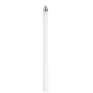 8-Watt 12 in. Linear T5 Fluorescent Tube Light Bulb Cool White (4100K) (1-Pack)