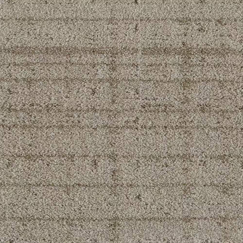 8 in. x 8 in. Pattern Carpet Sample - Cozy Tale - Color Sandstone price history on PriceWatchPro