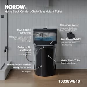 1-Piece 0.8/1.28 GPF Dual Flush Elongated Toilet in Matte Black with Soft-Close Seat Included