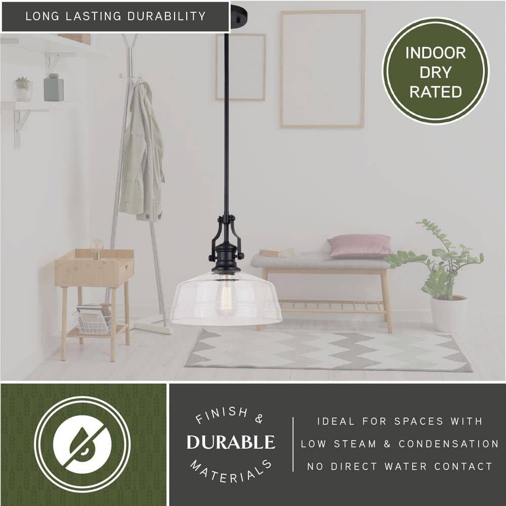 Matte Black 12" Farmhouse Style Pendant Light with Glass