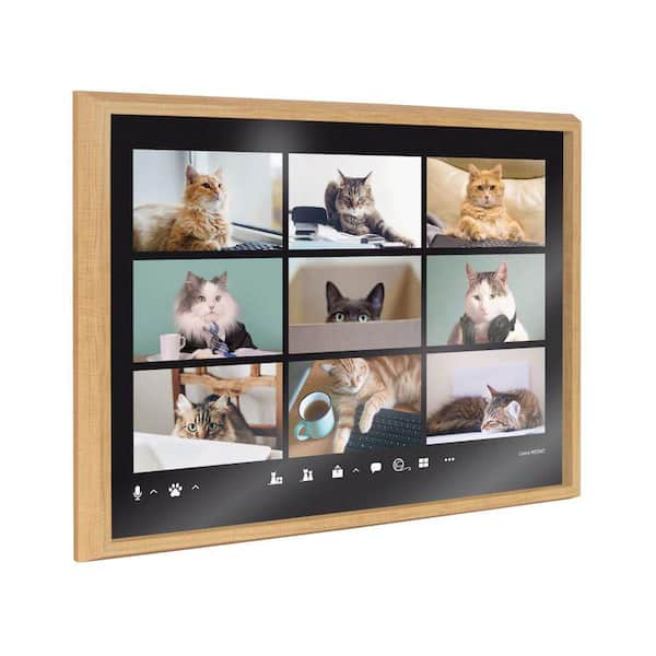 Kate and Laurel Blake Video Chat Cats by the Creative Bunch Studio Framed Glass Art Print 24 in. x 18 in.