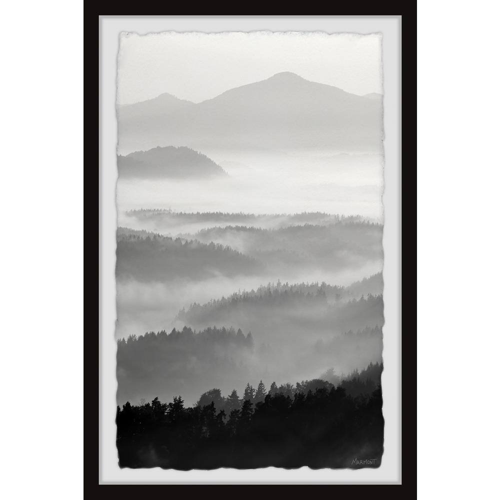 Gray Days by Marmont Hill Framed Nature Art Print 36 in. x 24 in.