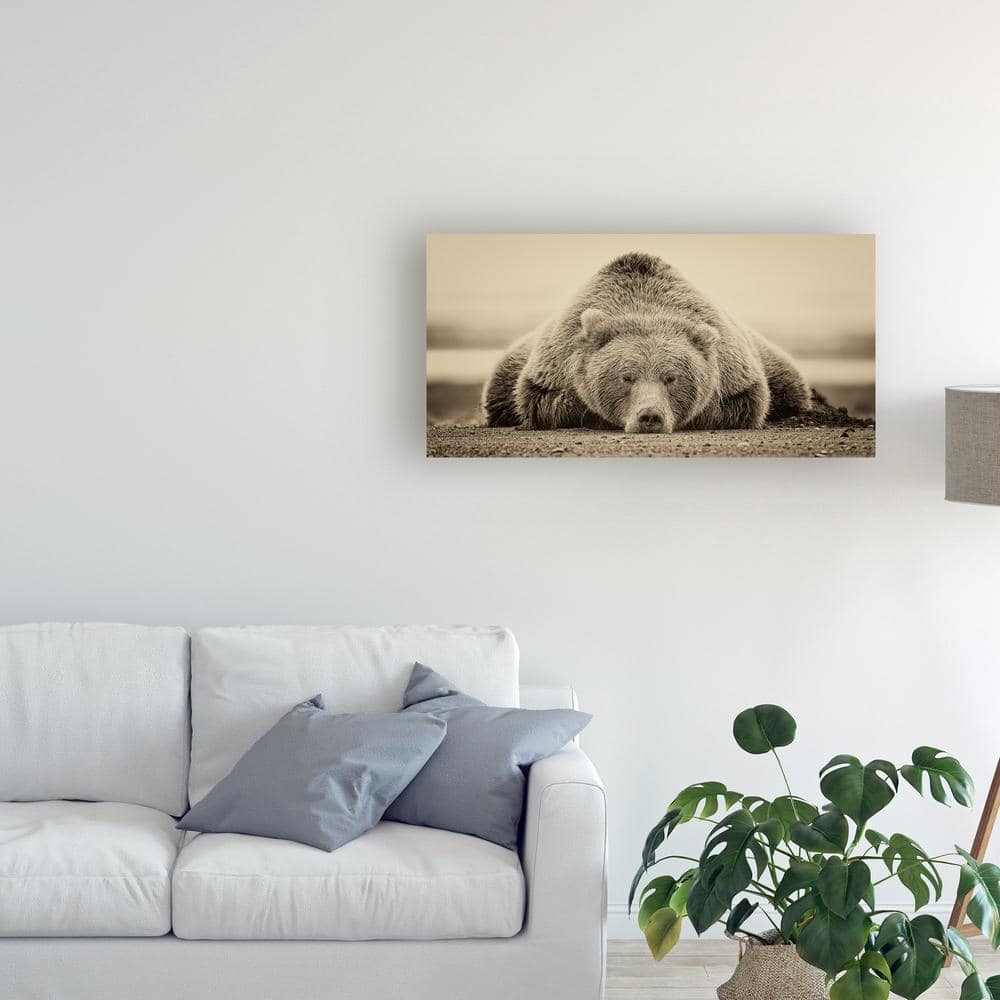 24" x 47" Tan and Black Bear Canvas Print