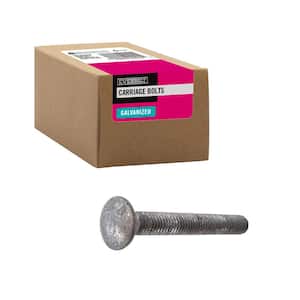 5/8 in.-11 x 3 in. Galvanized Carriage Bolt (10-Pack)