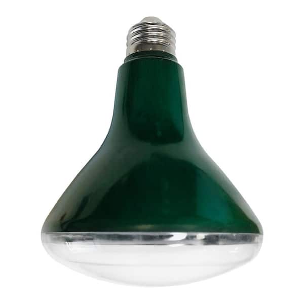 Stonepoint LED Lighting 9-Watt BR30 LED Grow Light Bulb
