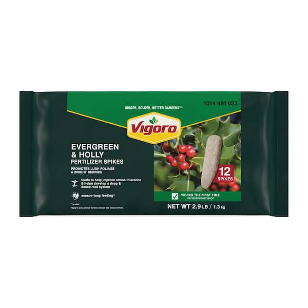 3.27 lbs. Evergreen & Holly Fertilizer Spikes, 12 Spikes