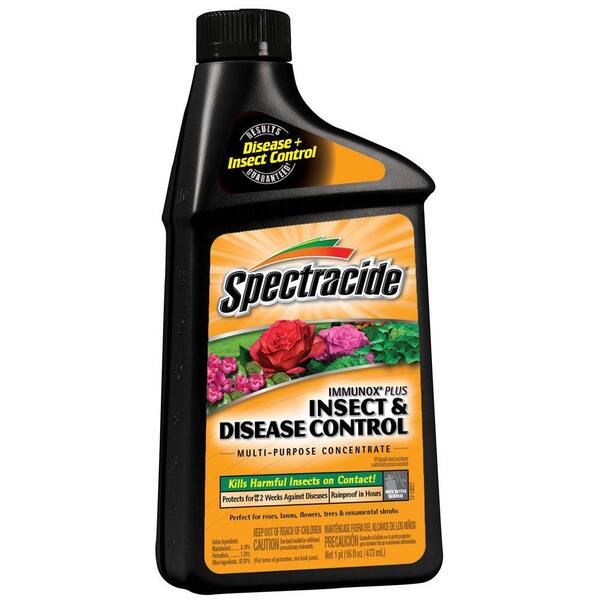 Spectracide Immunox Plus 16 oz. Concentrate Insect and Disease Control