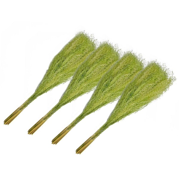21 in. Light Green Indoor Non Artificial Dried Preserved Buddha Dust-Pack of 4