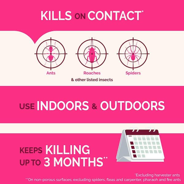 20 oz. Ant Roach and Spider Insect Killer Aerosol Spray (4-Pack)