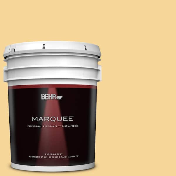 BEHR MARQUEE 5 gal. #350C-3 Applesauce Flat Exterior Paint & Primer