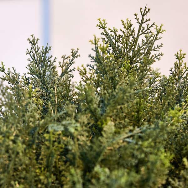 DR.Planzen 20 in. Artificial Cedar Topiary Trees with Ground Spike