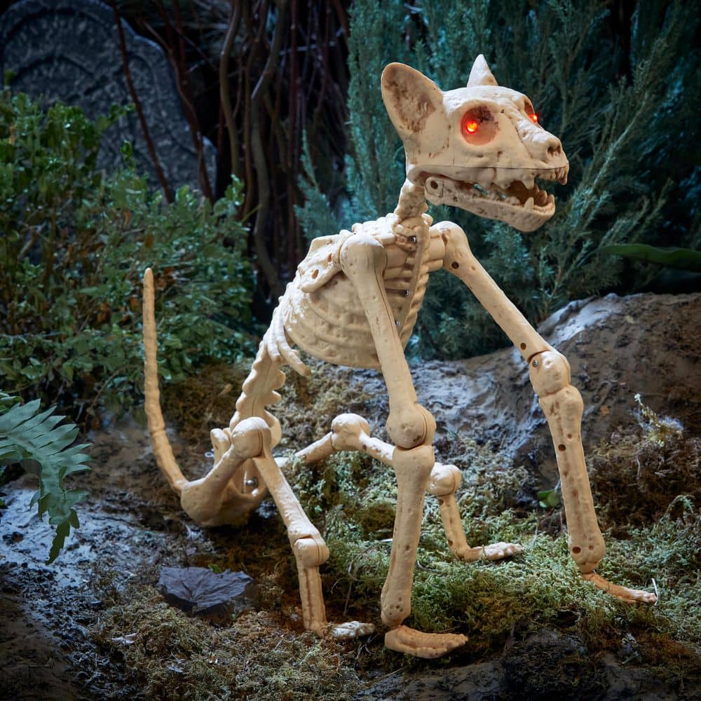 Home Accents Holiday Halloween Classics Animated LED Skeleton Cat ...