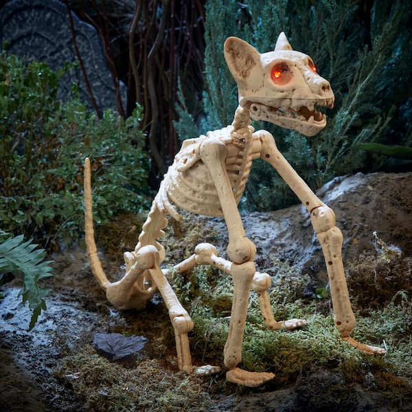 Halloween Classics Animated LED Skeleton Cat