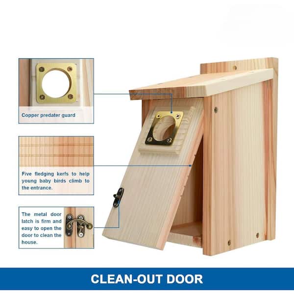 Justincity Cedar Wood Bluebird Finch Swallow Wren Chickadee Bird