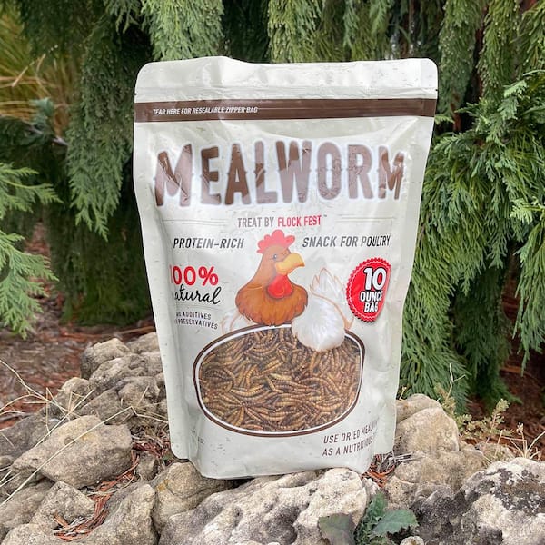 10 Oz Poultry Protein-Rich Snack from Whole-Dried Mealworms 100% Natural - No Additives or Preservatives (6-Pack)