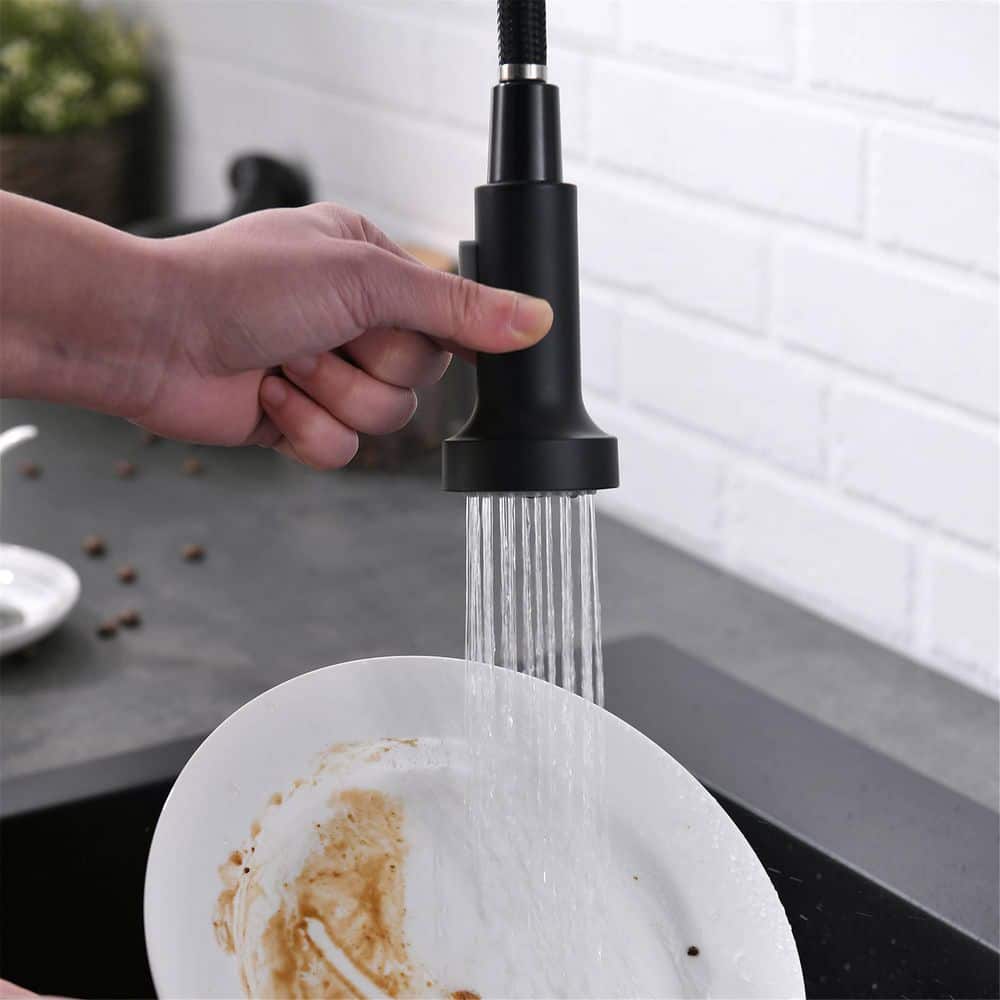 Matte Black Brass Pull-Down Kitchen Faucet with Spray