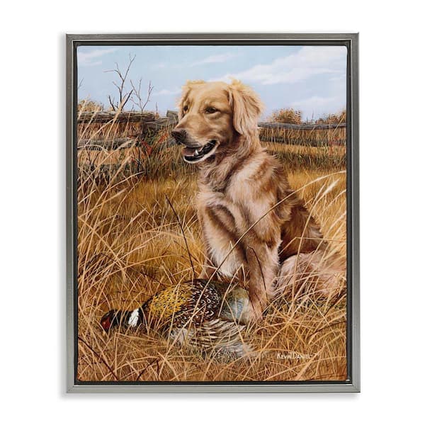Stupell Industries Hunting Dog and Pheasant by Kevin Daniel Gray Floater Frame Animal Graphic Art Print 31 in. x 25 in.