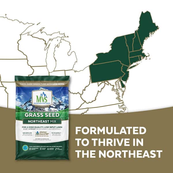 Mountain View Seeds MVS Northeast Mix 3 lbs. 112005 - The Home Depot