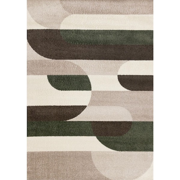 Brown 5 ft. x 8 ft. Woven Geometric Rectangle Indoor Area Rug