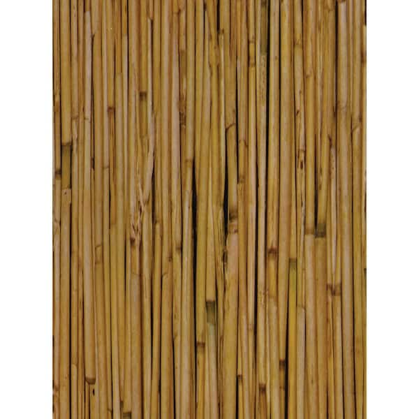 Wall Mural Bamboo wood texture 