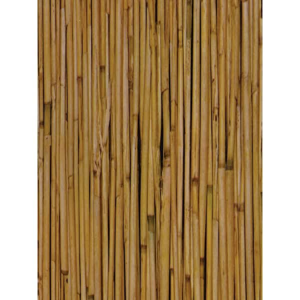 Bamboo Self Adhesive Film (Set of 2)