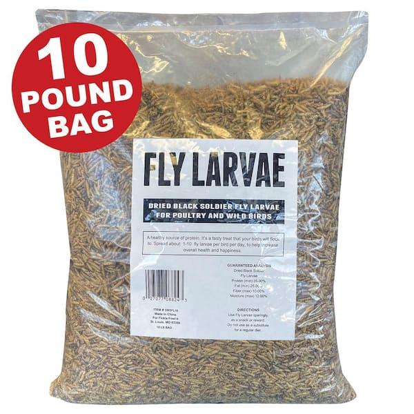 Unbranded Flock Fest 10 lbs. Bag Fly Larvae