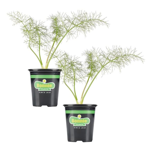 succulent plants fake Mini Artificial Succulent Plants in Geometric Plant Pots