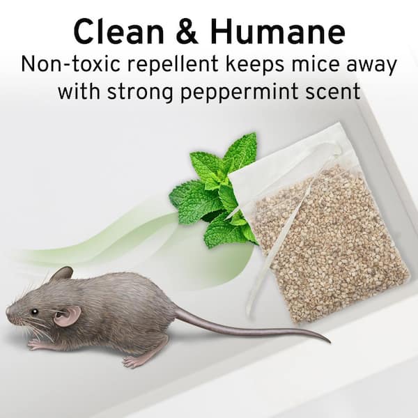 The DIY Anti-Mouse Pouch That Naturally Keeps Mice Away And Will Have Your  Home Smelling Incredible